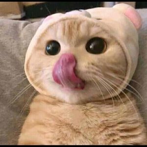 Meet your Posher, Heidi